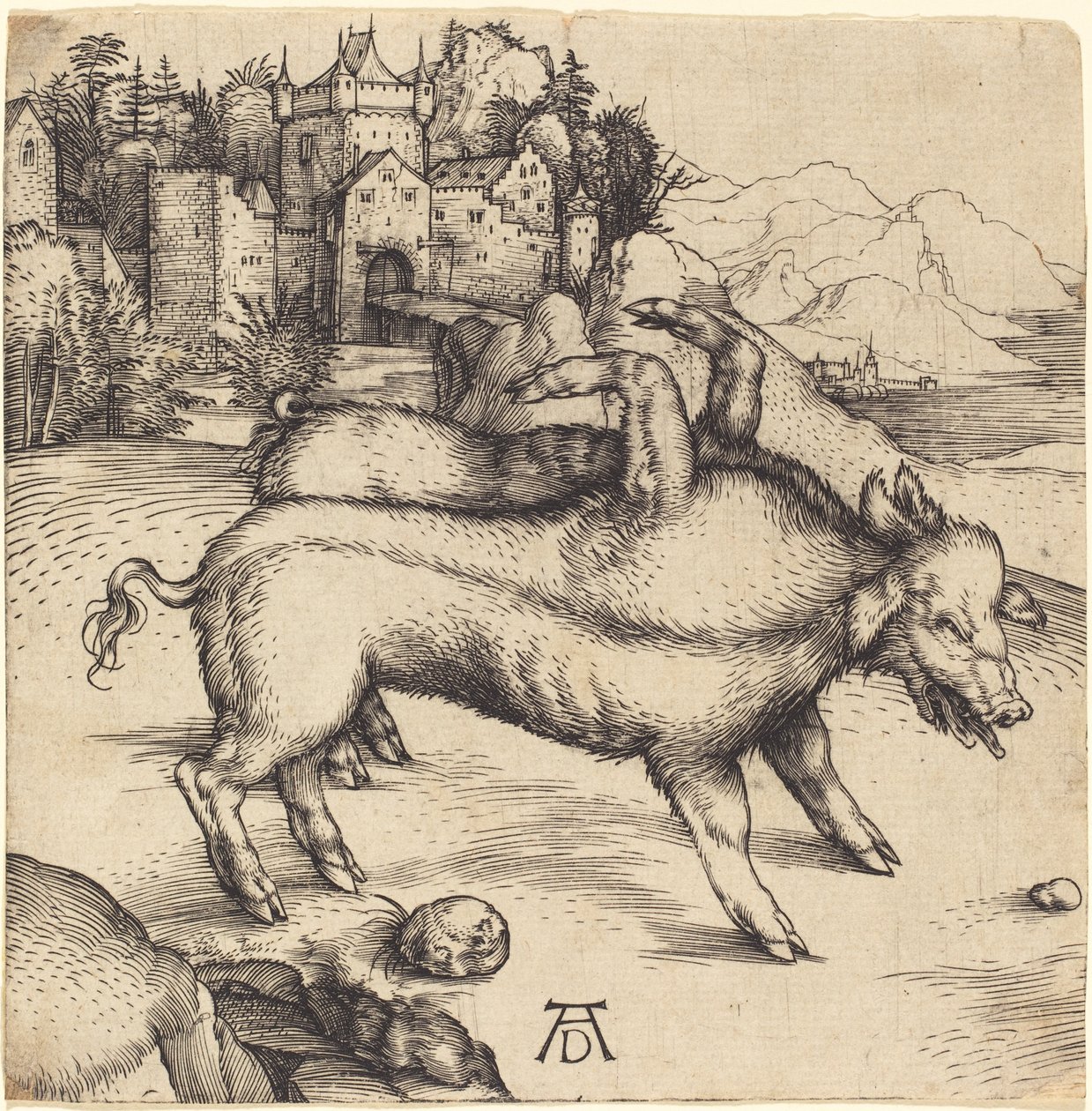 Landserin hirvittävä sika tekijältä Albrecht Dürer