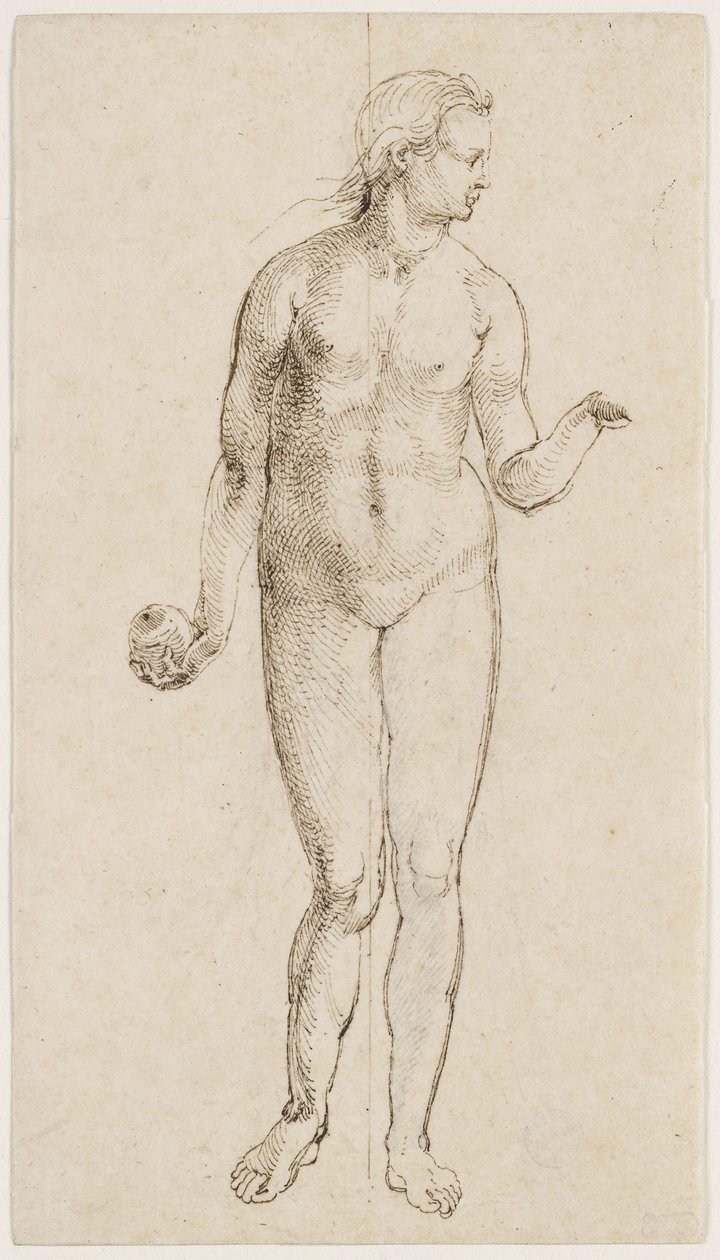 Eve (kynä ja intialainen muste paperille) tekijältä Albrecht Dürer