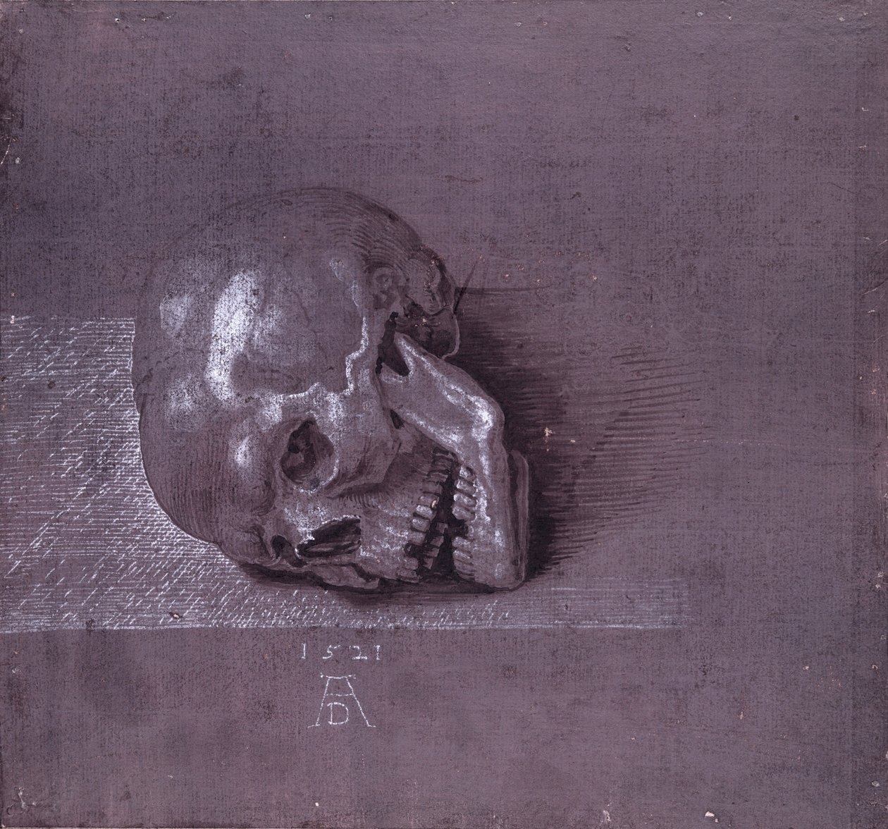 Tutkimus ihmisen kallosta, 1521 (kynä, mustetta ja liitu paperille) tekijältä Albrecht Dürer
