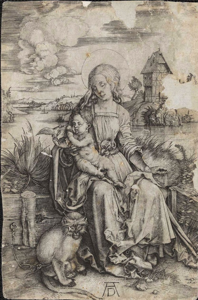 Neitsyt ja lapsi apinan kanssa tekijältä Albrecht Dürer