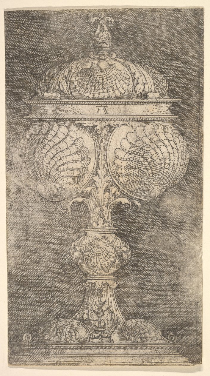 Peitetty pikari Shells.n.d. tekijältä Albrecht Altdorfer