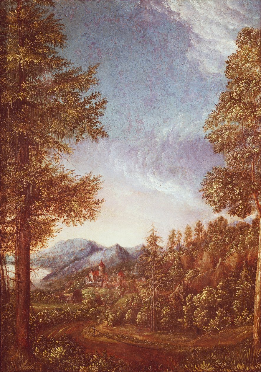 Tonavan maisema ja Castle Worth, n. 1522-25 (pergamentti pyökkillä) tekijältä Albrecht Altdorfer