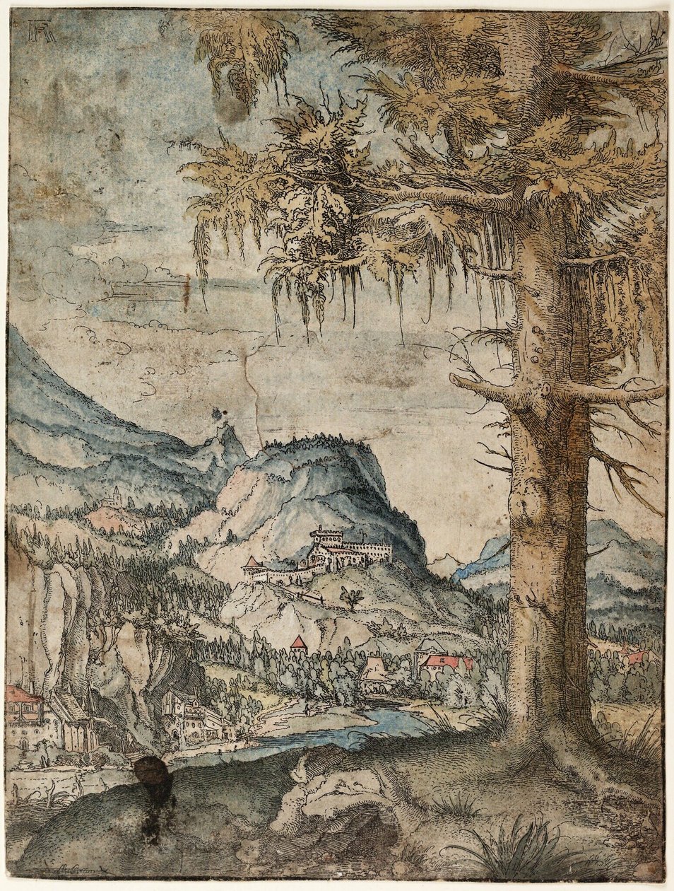 Saksa: Suuri kuusi Suuri kuusi tekijältä Albrecht Altdorfer