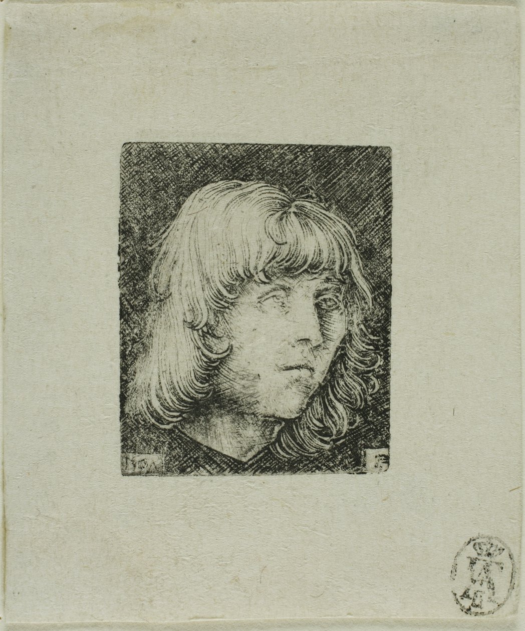 Nuoren miehen pää tekijältä Albrecht Altdorfer