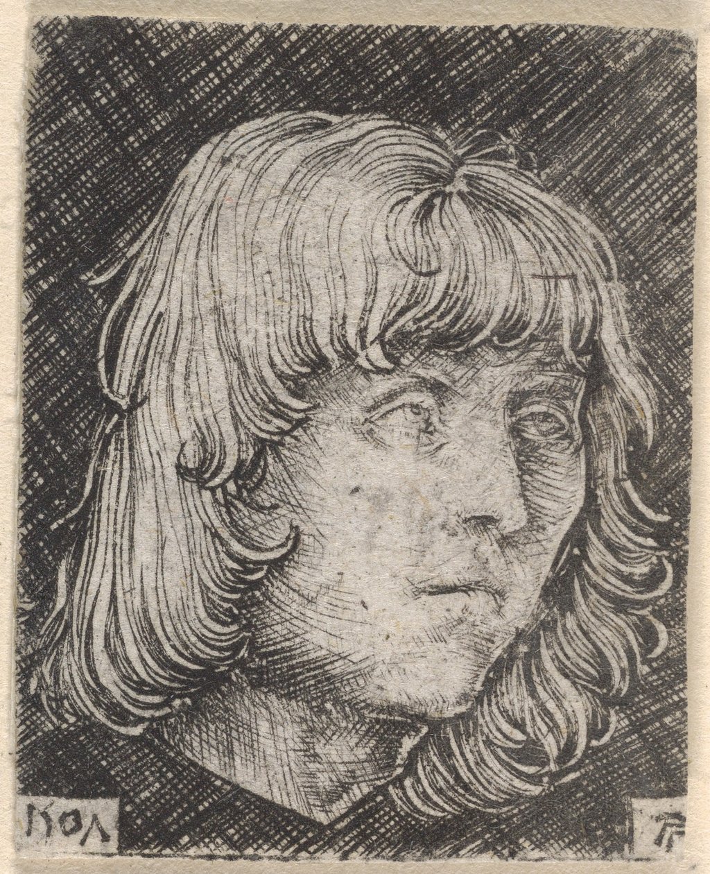 Nuoren miehen pää tekijältä Albrecht Altdorfer