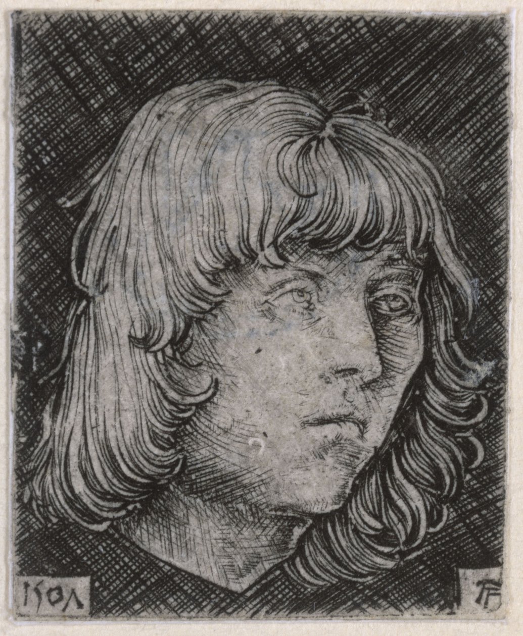 Nuoren miehen pää tekijältä Albrecht Altdorfer