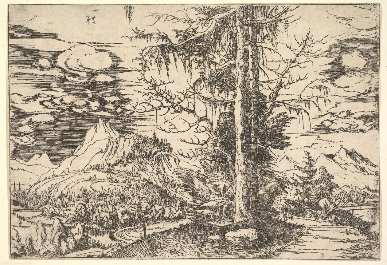 Maisema tuplakuusen kanssa, n. 1521-22. tekijältä Albrecht Altdorfer