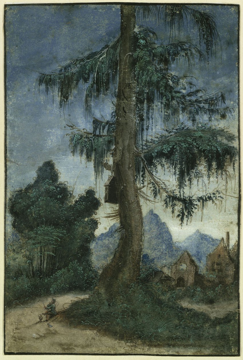 Maisema, jossa on kuusi tekijältä Albrecht Altdorfer