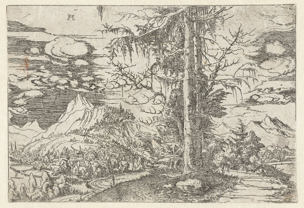 Maisema kaksinkertaisella kuusella tekijältä Albrecht Altdorfer