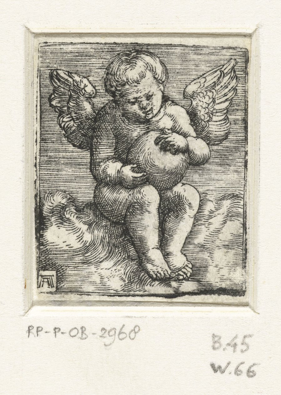 Putto pallon kanssa tekijältä Albrecht Altdorfer