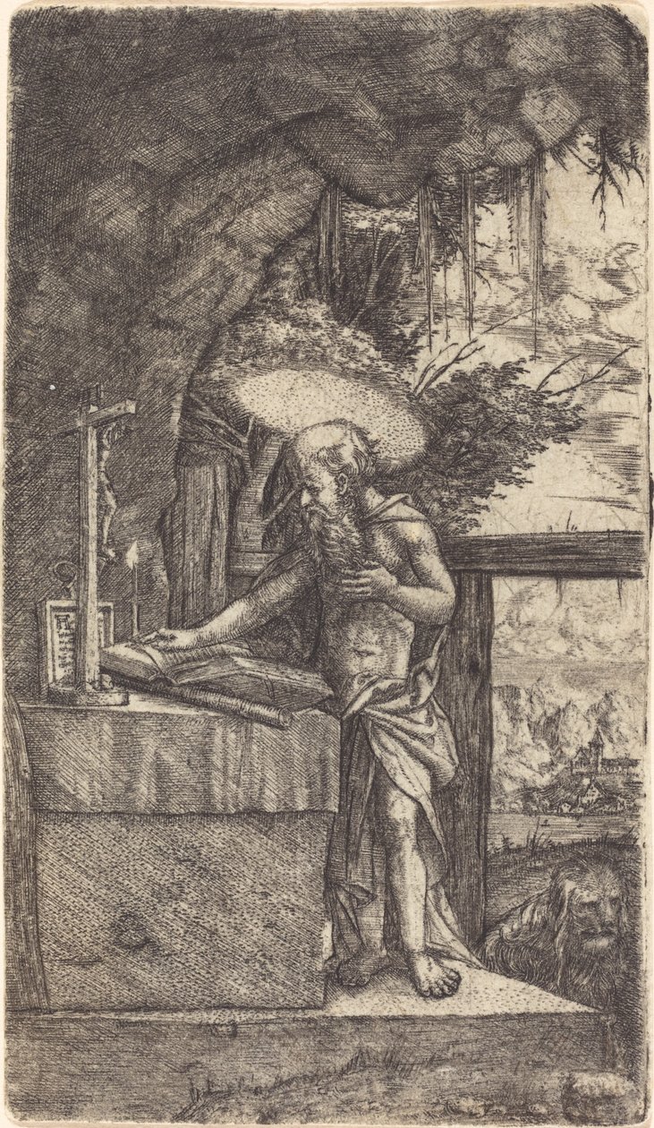 Saint Jerome Reading tekijältä Albrecht Altdorfer