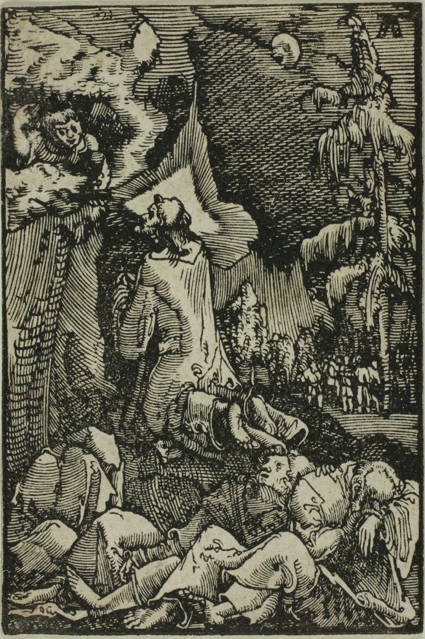 Agony in the Garden, kirjasta The Fall and Redemption of Man tekijältä Albrecht Altdorfer