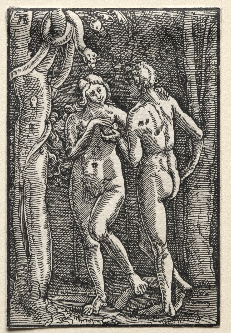 Ihmisen lankeemus ja lunastus: Aadam ja Eeva syömässä kiellettyä hedelmää, n. 1515. tekijältä Albrecht Altdorfer