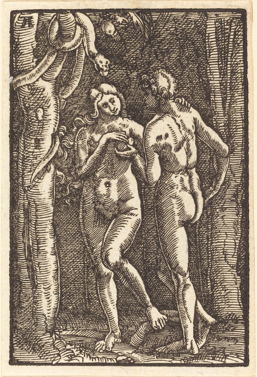 Ihmisen lankeemus tekijältä Albrecht Altdorfer