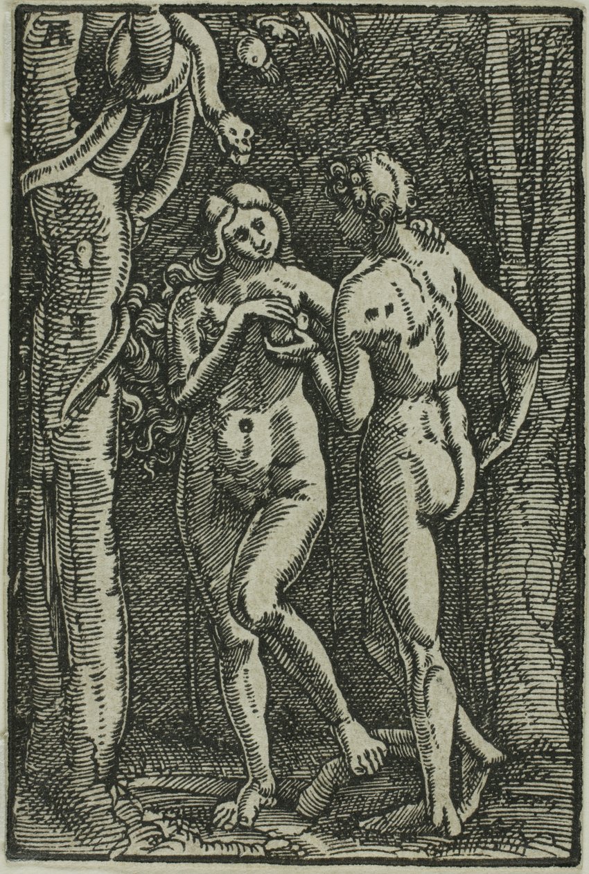 Ihmisen lankeemus, kirjasta The Fall and Redemption of Man tekijältä Albrecht Altdorfer