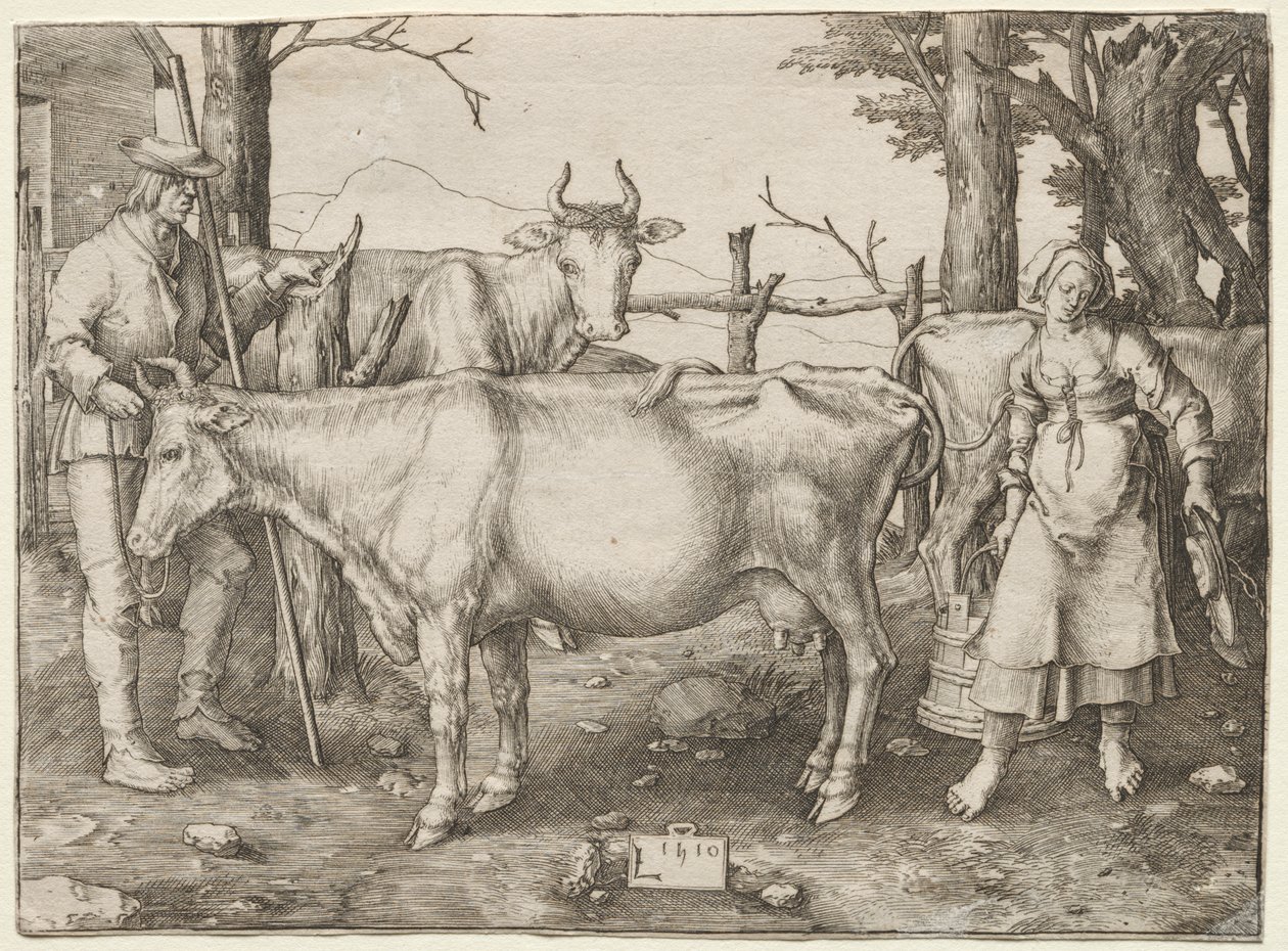 Maitotyttö tekijältä Albrecht Altdorfer