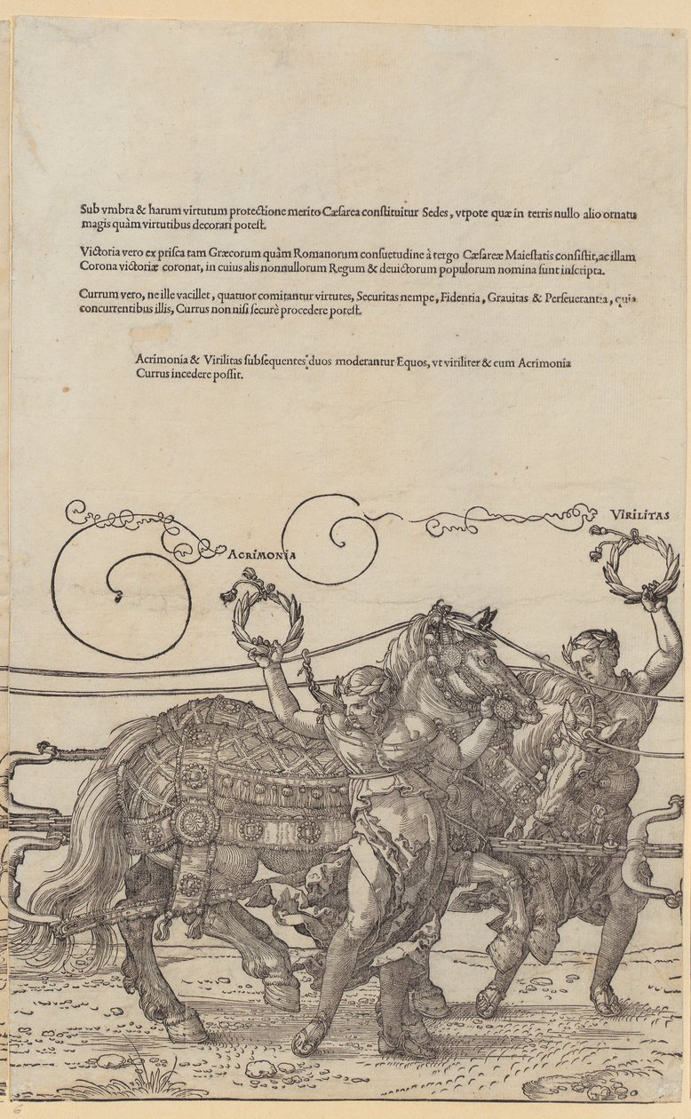 Acrimonia, lehti 6 sarjasta "Suuret triumfivaunut" tekijältä Albrecht Dürer