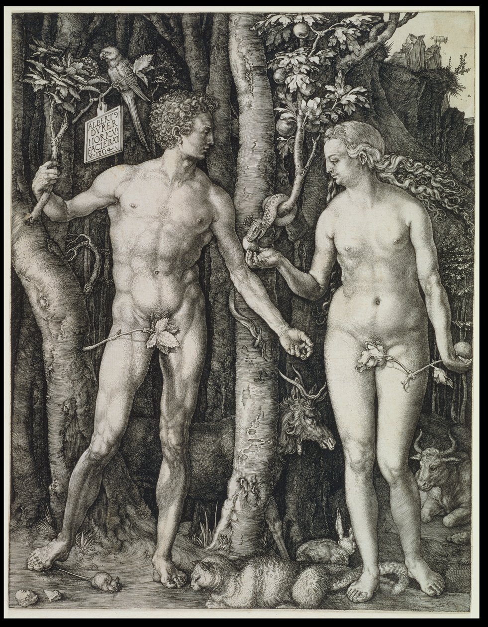 Aadam ja Eeva (syntiinlankeemus) tekijältä Albrecht Dürer