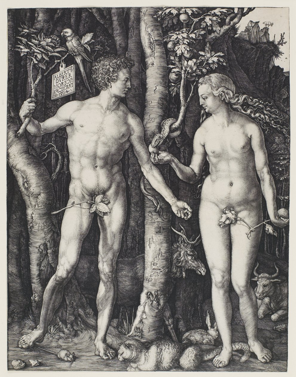 Aatami ja Eeva tekijältä Albrecht Dürer
