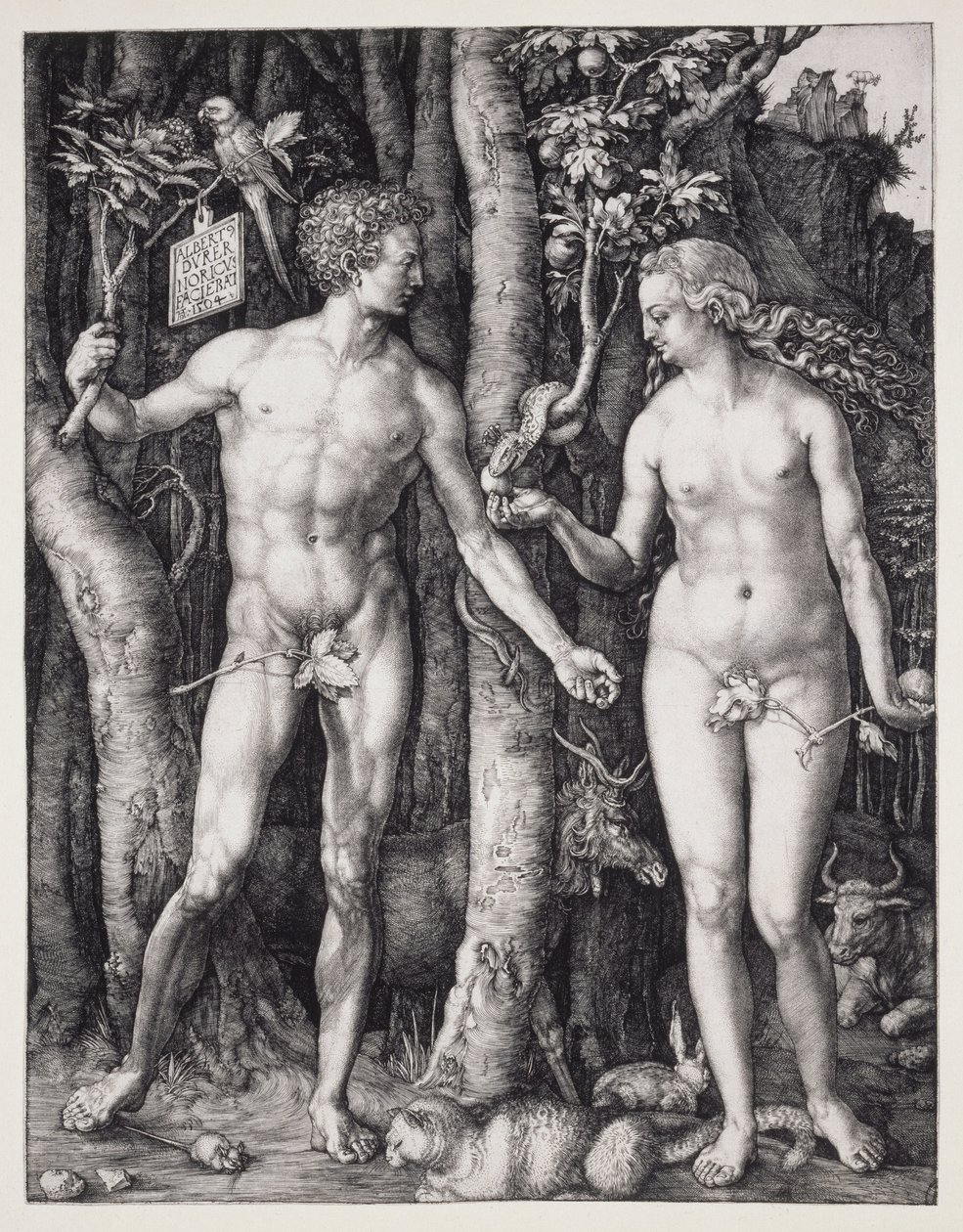 Aatami ja Eeva tekijältä Albrecht Dürer