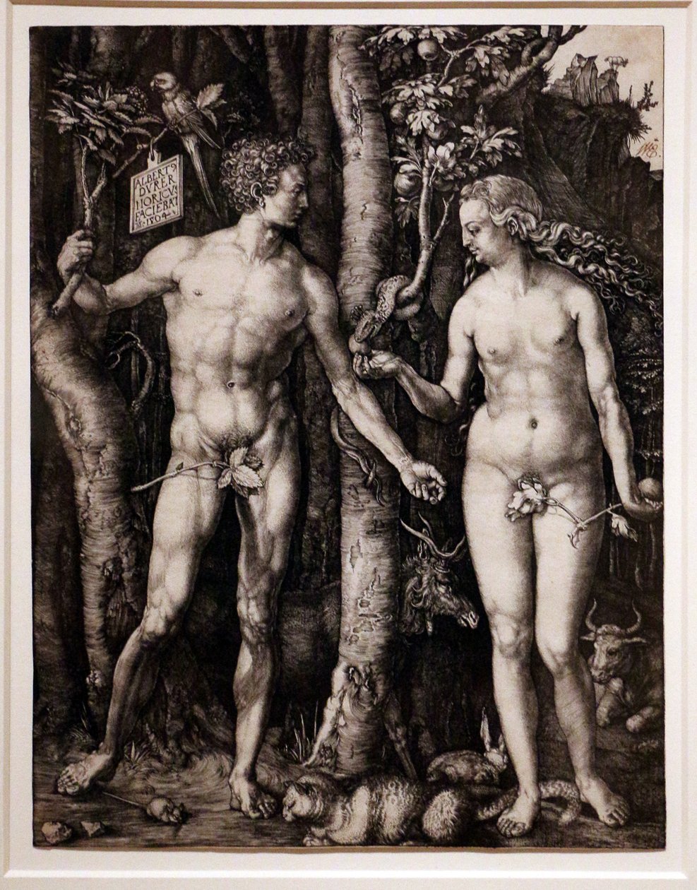 Aatami ja Eeva tekijältä Albrecht Dürer