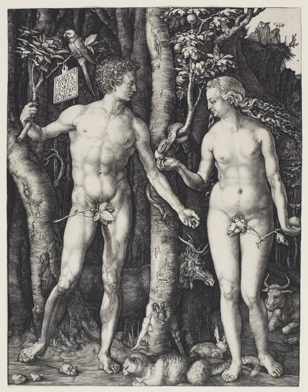 Aatami ja Eeva tekijältä Albrecht Dürer