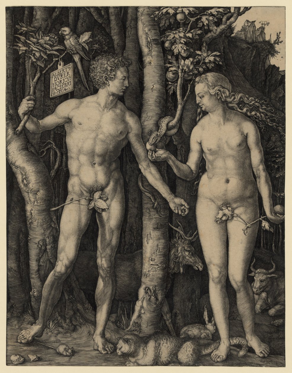 Aatami ja Eeva tekijältä Albrecht Dürer