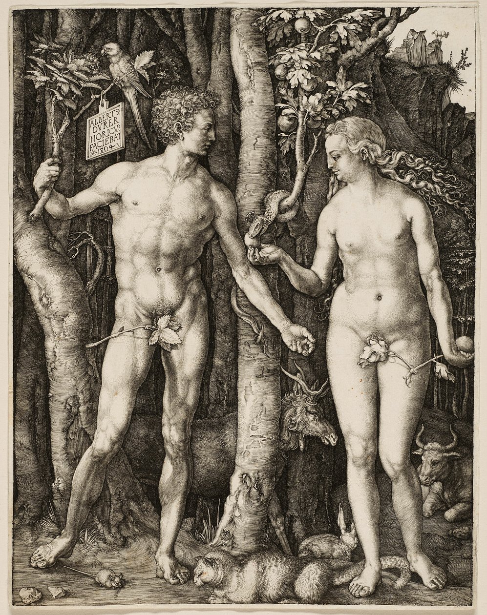 Aatami ja Eeva tekijältä Albrecht Dürer