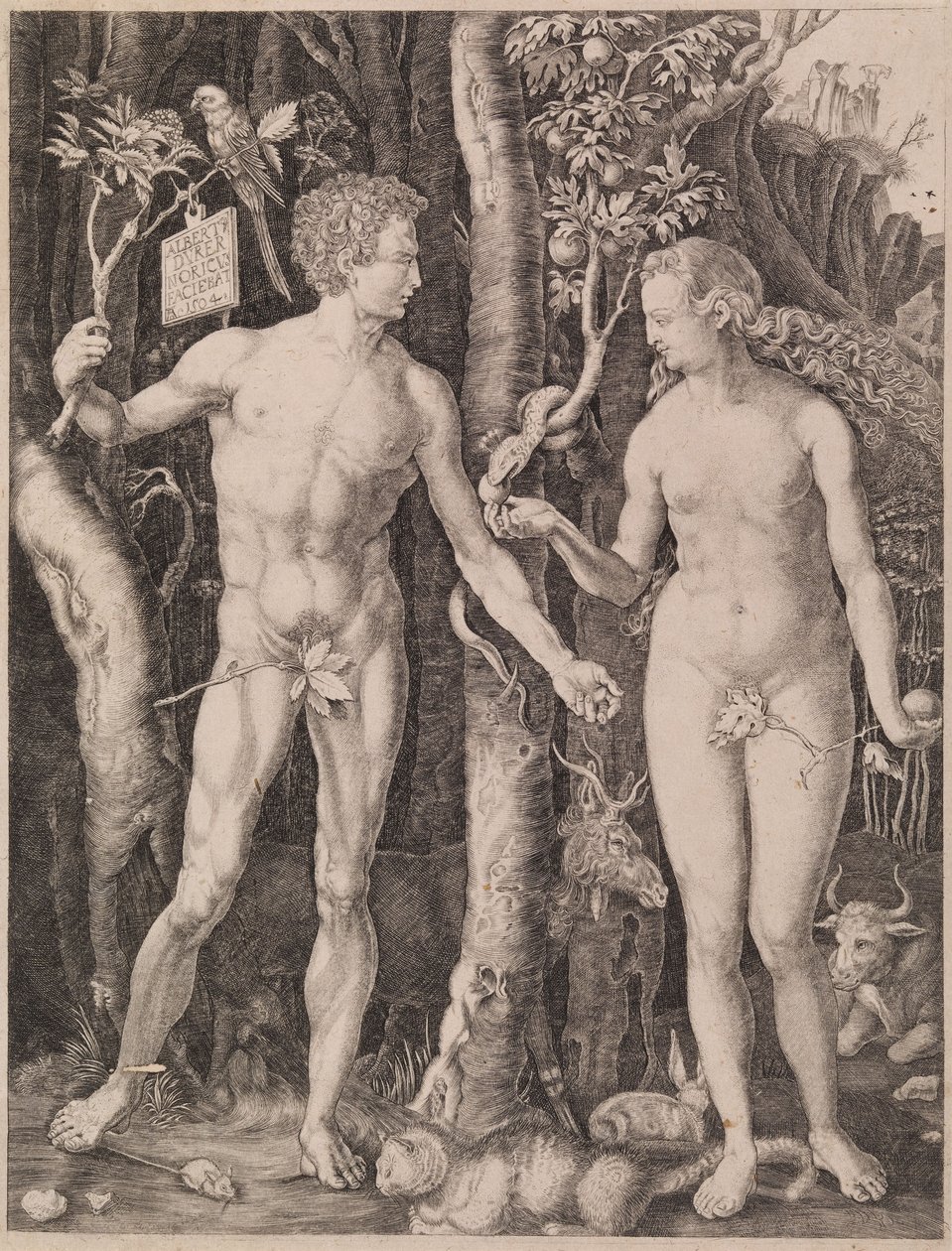 Aadam ja Eeva tekijältä Albrecht Dürer