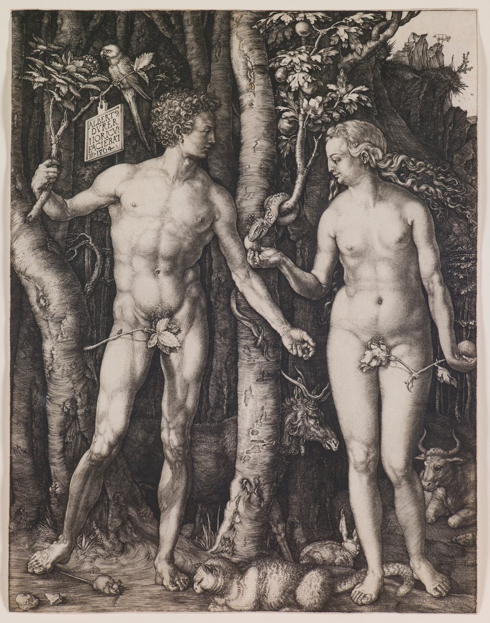 Aadam ja Eeva tekijältä Albrecht Dürer