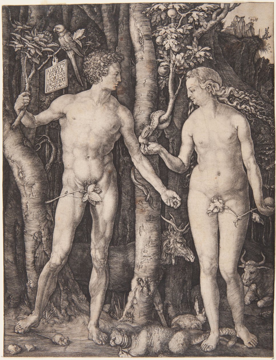Aadam ja Eeva tekijältä Albrecht Dürer