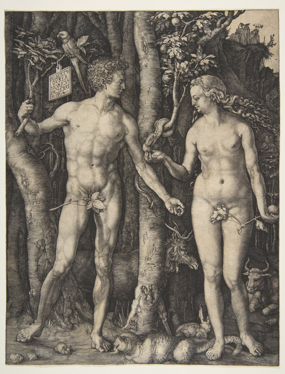 Aadam ja Eeva tekijältä Albrecht Dürer