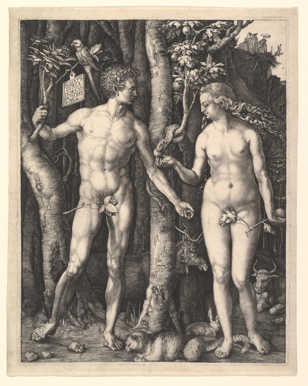 Aadam ja Eeva tekijältä Albrecht Dürer