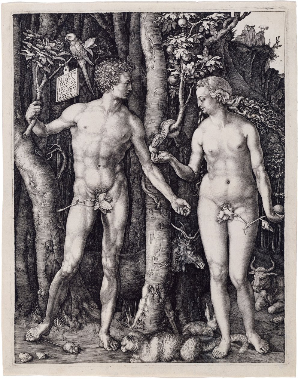 Aadam ja Eeva tekijältä Albrecht Dürer