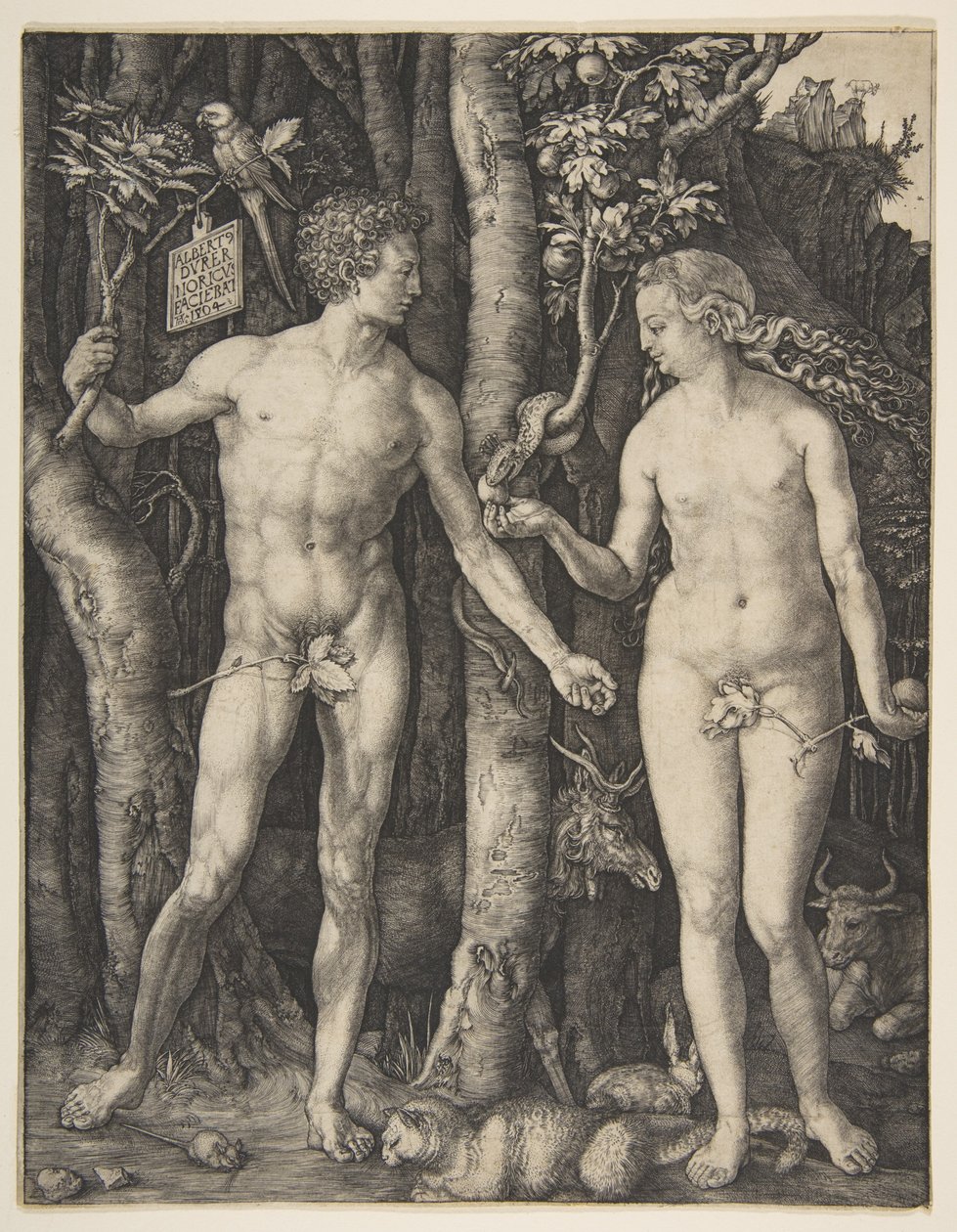 Aadam ja Eeva tekijältä Albrecht Dürer