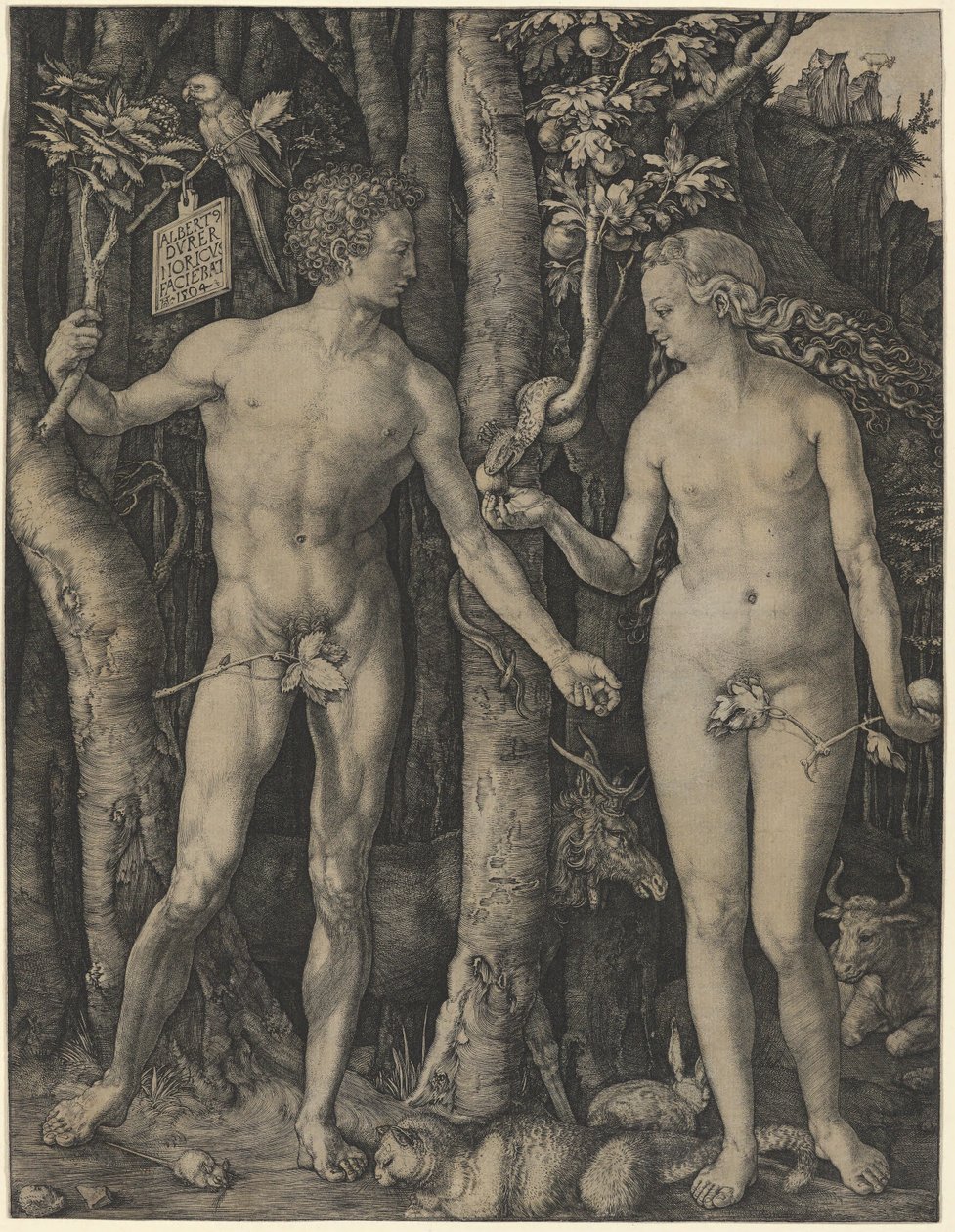 Aadam ja Eeva tekijältä Albrecht Dürer