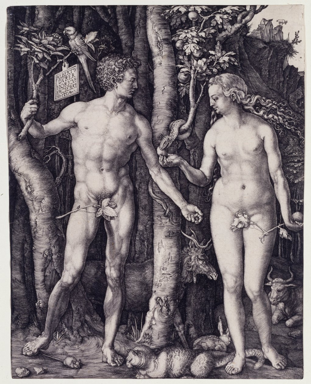 Aadam ja Eeva tekijältä Albrecht Dürer