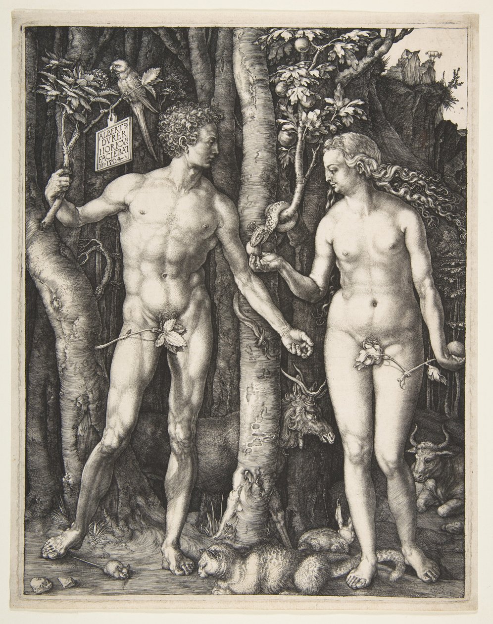 Aatami ja Eeva, 1504 tekijältä Albrecht Dürer