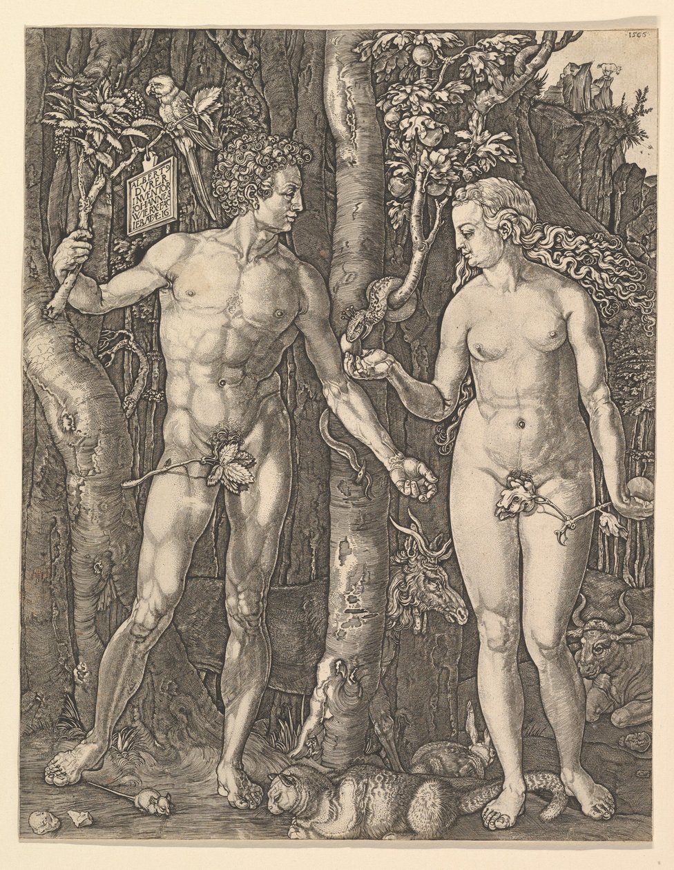 Aadam ja Eeva, 1566. tekijältä Albrecht Dürer