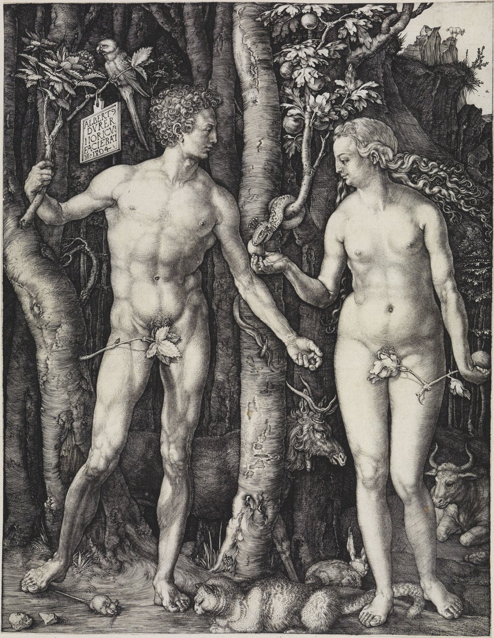 Aatami ja Eeva tekijältä Albrecht Dürer