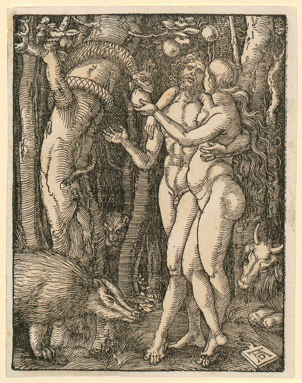 Aadam ja Eeva, lehti 2 sarjasta "Pieni puupiirrospassio" tekijältä Albrecht Dürer