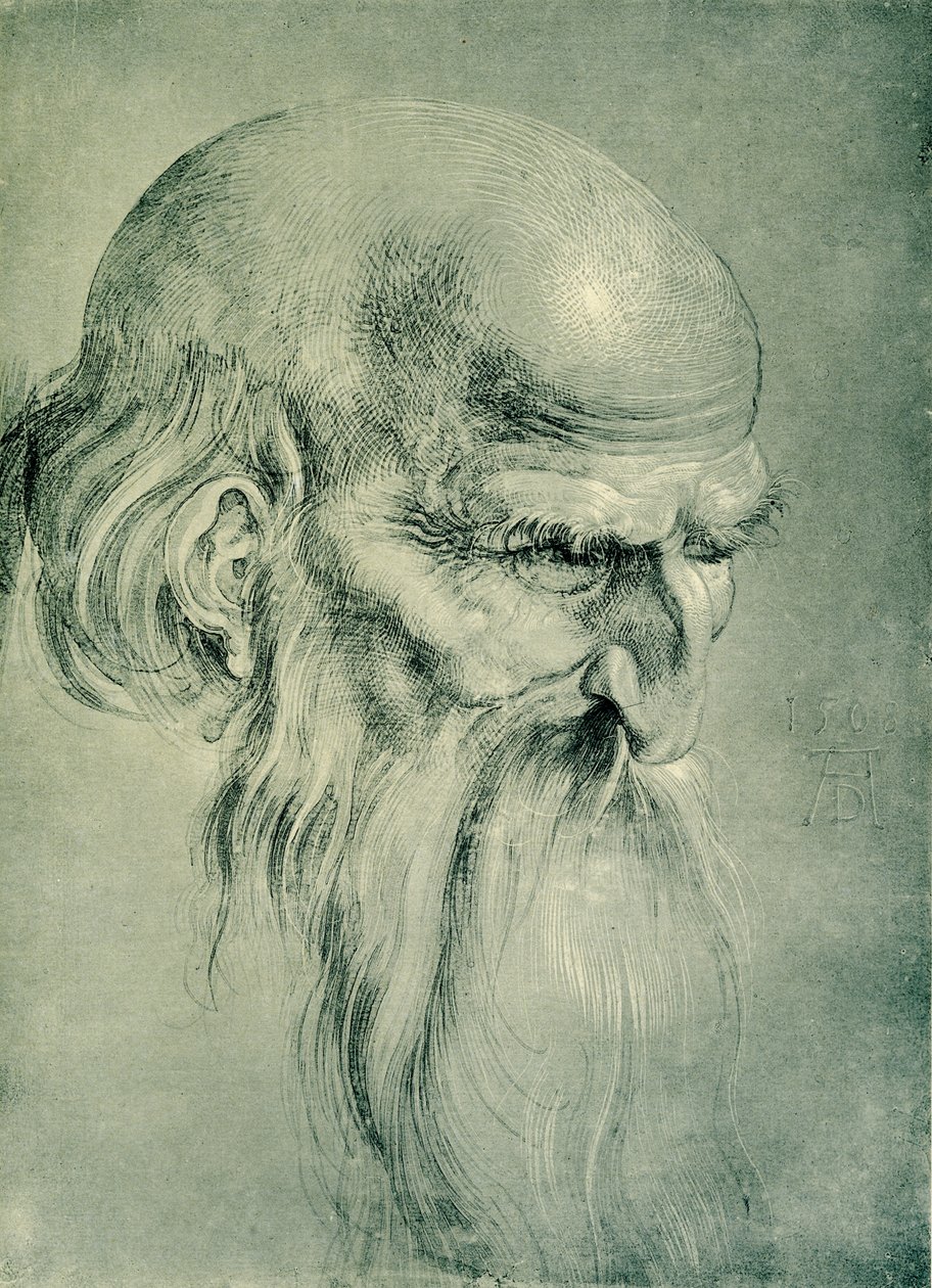 Apostolin pää tekijältä Albrecht Dürer