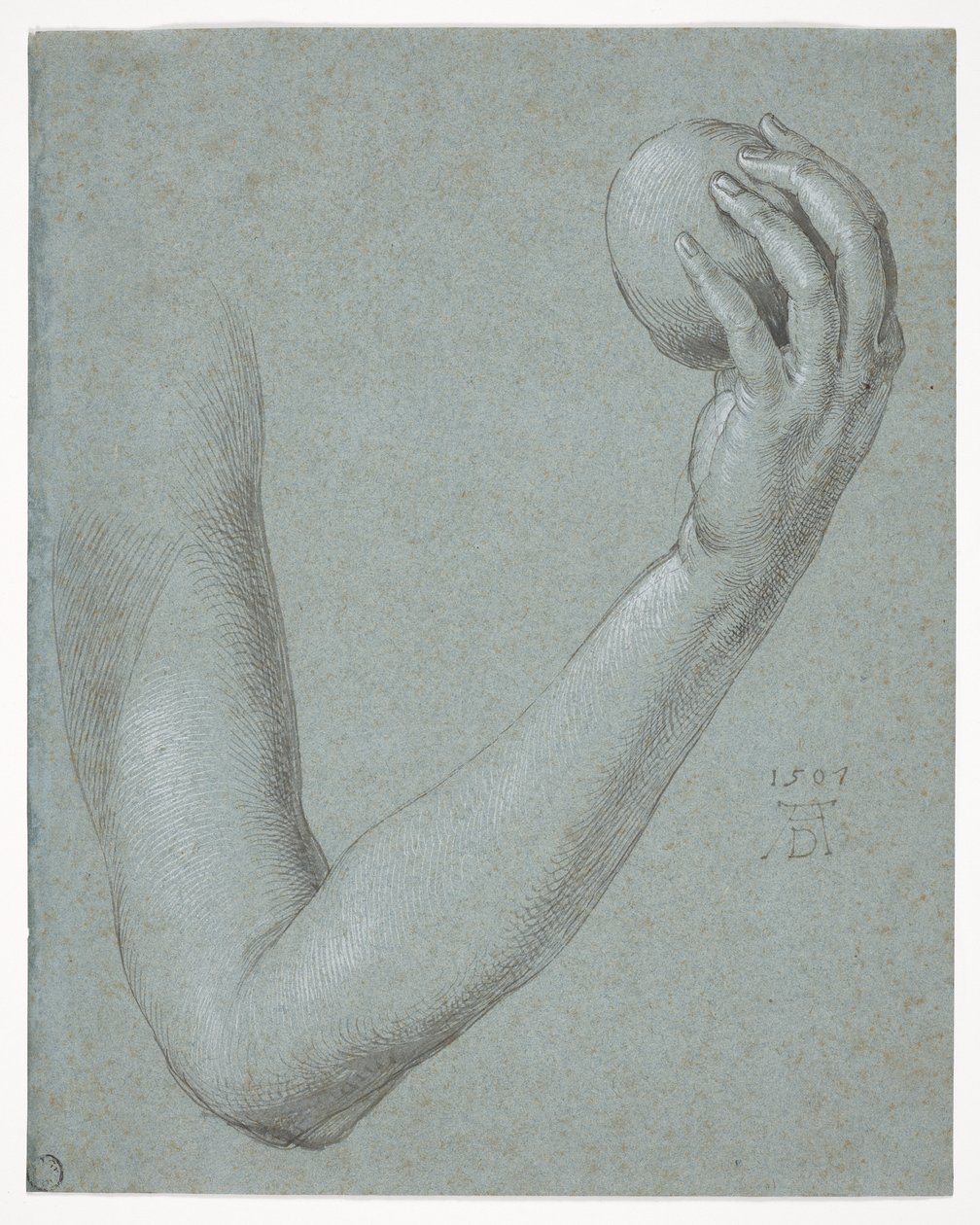Eevan käsivarsi tekijältä Albrecht Dürer