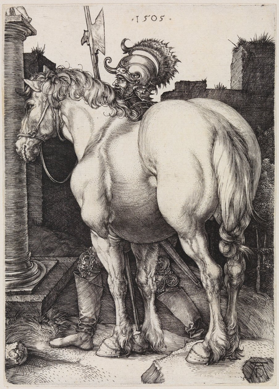Suuri hevonen tekijältä Albrecht Dürer