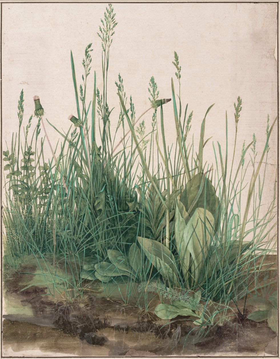 Das große Rasenstück tekijältä Albrecht Dürer