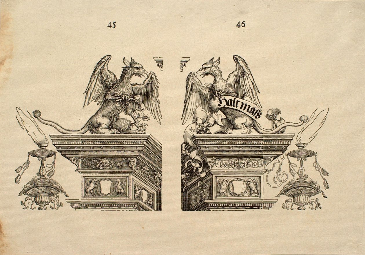 Yksityiskohdat 45 & 46 tekijältä Albrecht Dürer