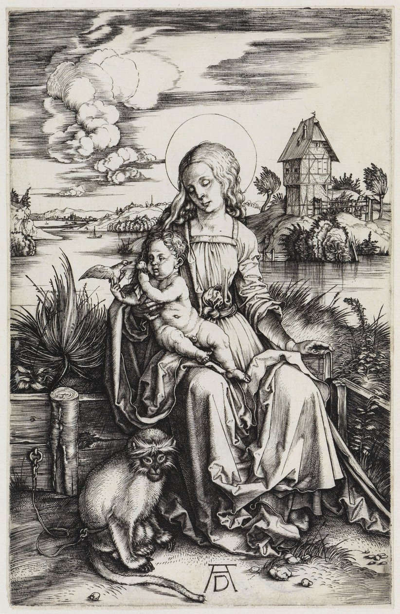 Madonna ja merikissa tekijältä Albrecht Dürer