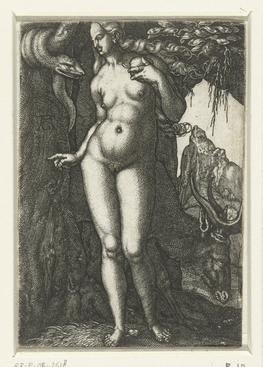 Eva tekijältä Albrecht Dürer