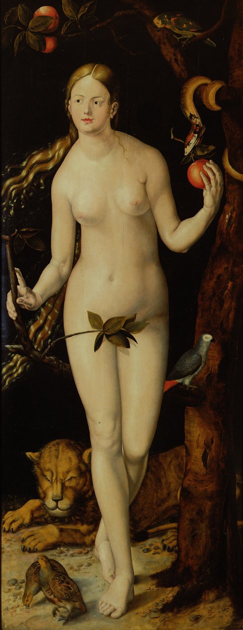 aatto tekijältä Albrecht Dürer