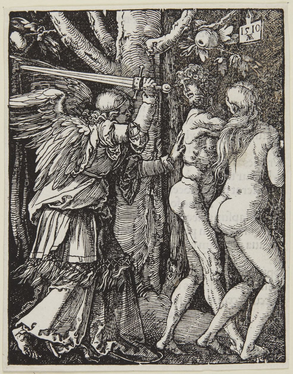 Karkotus paratiisista tekijältä Albrecht Dürer